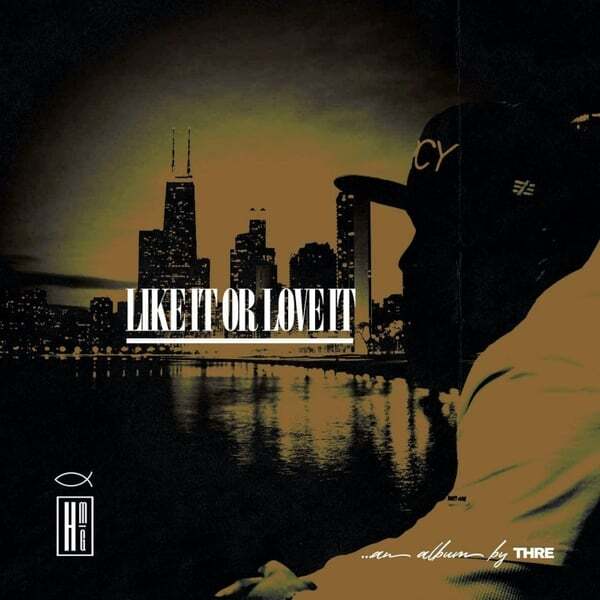 Cover art for Like It or Love It